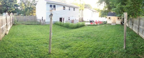House of Paws backyard in Nanuet NY