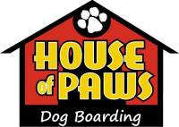 Cageless dog boarding at House of Paws Nanuet NY