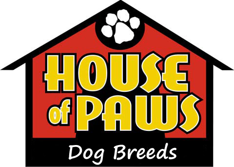 Dog breed groups guide